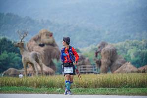 BIB: 
                            <button type="button" onclick="openModal(22314813)" class="btn btn-primary btn-sm float-right btn-popup" data-toggle="modal" data-target=".modal-high-quality">
                        <i class="fas fa-shopping-cart"></i> Add to Cart
                    </button>
                                            <button type="button" onclick="isThisMe(22314813, true)" class="btn btn-success btn-sm float-right btn-popup btn-isme hidden" data-toggle="tooltip" data-placement="bottom" title="นี่คือรูปของคุณใช่ไหม คลิกที่นี่เพื่อเอาเข้าอัลบั้ม">
                        <i class="fas fa-plus"></i> Add to album
                    </button>
                    <button type="button" onclick="isThisMe(22314813, false)" class="btn btn-warning btn-sm float-right btn-popup btn-isnotme hidden">
                        <i class="fas fa-ban"></i> Remove from album
                    </button>